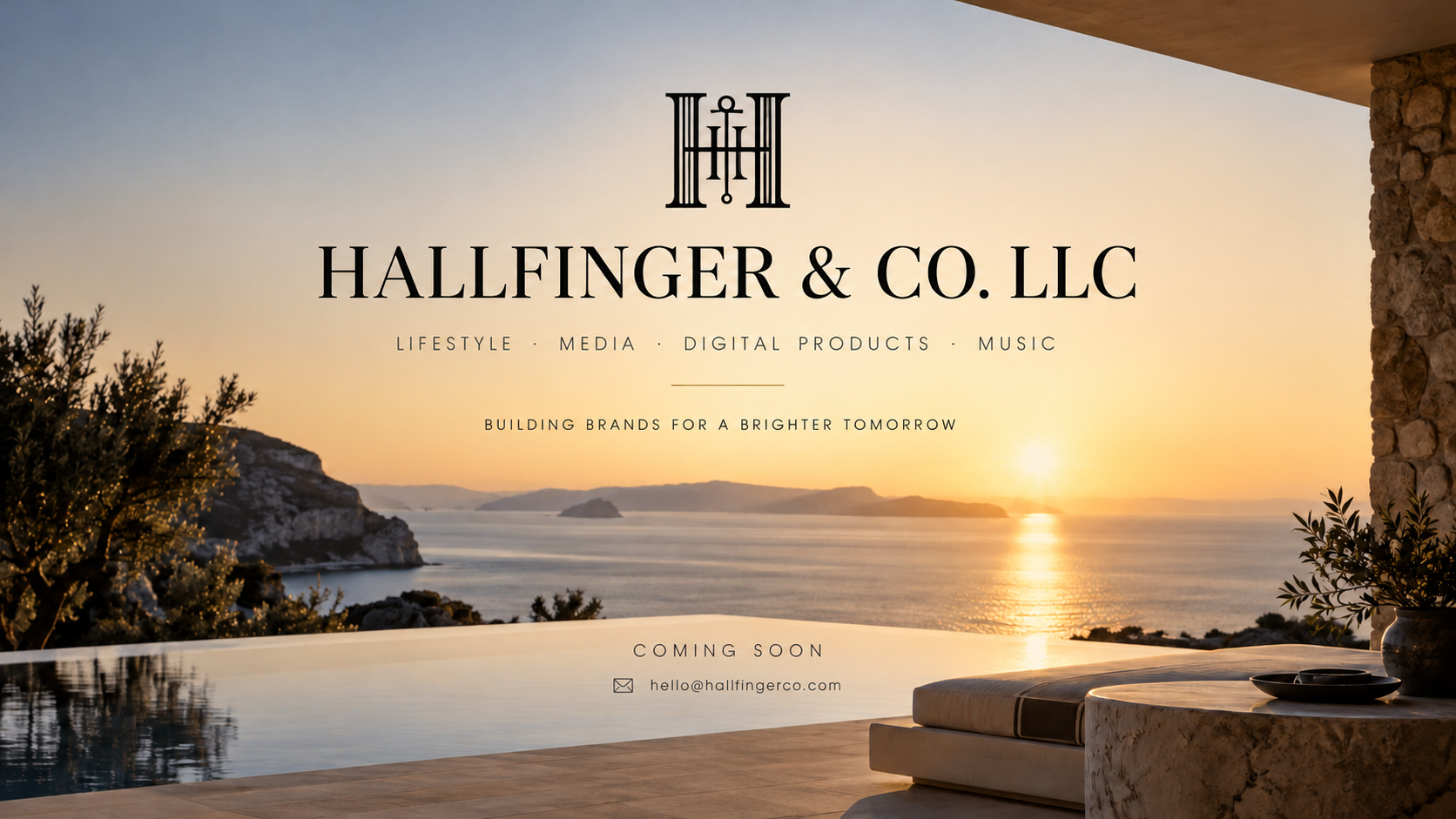Hallfinger & Co. LLC — Coming Soon